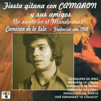 Thumbnail for the Amina - Gitano de Mis Amores link, provided by host site