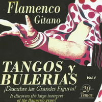 Thumbnail for the Antonio Mairena - Gitano Rico - Bulerías link, provided by host site