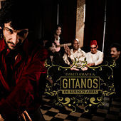 Thumbnail for the David Amaya - Gitanos De Buenos Aires link, provided by host site
