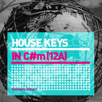 Thumbnail for the Those Usual Suspects feat Jay Sebag - Give It to Me (Whelan & Di Scala Remix) link, provided by host site