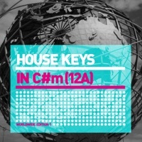 Thumbnail for the Those Usual Suspects feat Jay Sebag - Give It To Me (Whelan & Di Scala Remix) link, provided by host site