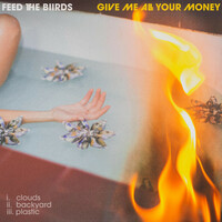 Thumbnail for the Feed The Biirds - Give Me All Your Money link, provided by host site