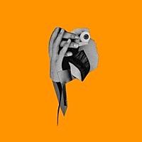 Thumbnail for the Milk Teeth - Given Up link, provided by host site