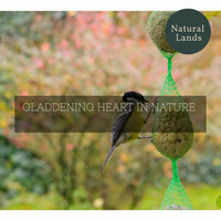 Thumbnail for the Nature Sound Series - Gladdening Heart in Nature link, provided by host site