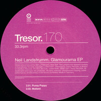 Thumbnail for the Neil Landstrumm - Glamourama link, provided by host site