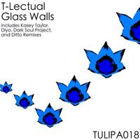 Image of T-Lectual linking to their artist page due to link from them being at the top of the main table on this page