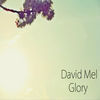 Thumbnail for the David Mel - Glory link, provided by host site