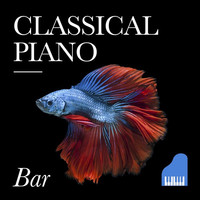 Thumbnail for the Franz Liszt - Gnomenreigen link, provided by host site