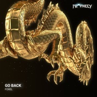 Thumbnail for the Foxel - Go Back link, provided by host site