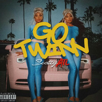 Thumbnail for the Scotty ATL - Go Twin link, provided by host site