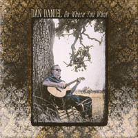 Thumbnail for the Dan Daniel - Go Where You Want link, provided by host site