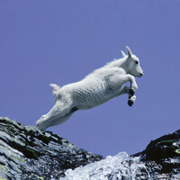 Thumbnail for the JLS - GOAT link, provided by host site