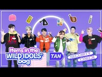 Thumbnail for the Tan - Goes Wild On Their Way To Secret Airlines🌴✈️ link, provided by host site