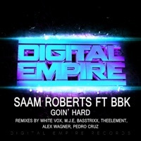 Thumbnail for the Saam Roberts - Goin' Hard link, provided by host site