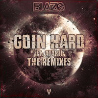 Thumbnail for the Blaize - Goin Hard Remixes link, provided by host site