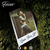 Thumbnail for the Fever - Goin' Thru It link, provided by host site