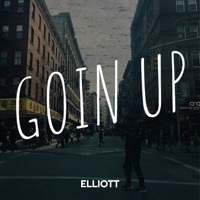 Image of Elliott linking to their artist page due to link from them being at the top of the main table on this page