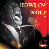 Thumbnail for the Howlin' Wolf - Going Down Live link, provided by host site