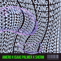 Thumbnail for the Amero - Going Numb link, provided by host site