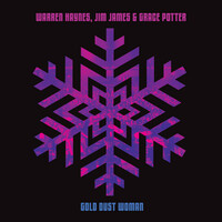 Thumbnail for the Warren Haynes - Gold Dust Woman link, provided by host site