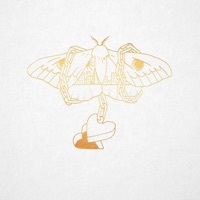 Thumbnail for the David Gray - Gold in a Brass Age (Ground Control Acoustic Sessions) link, provided by host site