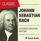 Thumbnail for the Monika Knoblochová - Goldberg Variations BWV 988 link, provided by host site