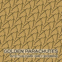Thumbnail for the Stewart Walker - Golden Parachutes into the Dark Grey Morning link, provided by host site