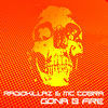 Thumbnail for the RadioKillaZ - Gona B Fire link, provided by host site