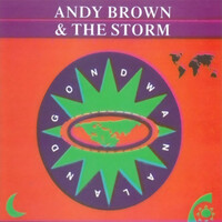 Thumbnail for the Andy Brown - Gondwanaland link, provided by host site