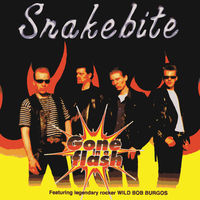 Thumbnail for the Snake Bite - Gone in a Flash link, provided by host site