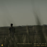 Thumbnail for the Greyson Chance - Good as Gold (Flyboy Remix) link, provided by host site