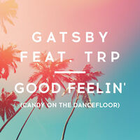 Thumbnail for the Gatsby - Good Feelin' (Candy on the Dancefloor) link, provided by host site