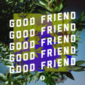 Thumbnail for the The Switch - Good Friend link, provided by host site