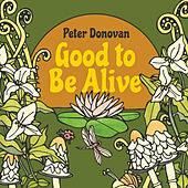 Image of Peter Donovan linking to their artist page due to link from them being at the top of the main table on this page