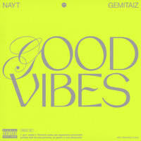 Thumbnail for the Nayt - Good Vibes link, provided by host site