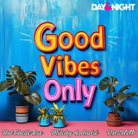 Thumbnail for the Hot Chelle Rae - Good Vibes Only link, provided by host site