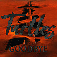 Thumbnail for the The Turtles - Goodbye link, provided by host site