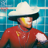 Thumbnail for the Cage the Elephant - Goodbye link, provided by host site