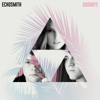 Image of Echosmith linking to their artist page due to link from them being at the top of the main table on this page