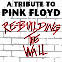 Thumbnail for the Steve Howe - Goodbye Blue Sky link, provided by host site