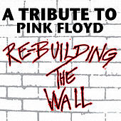 Thumbnail for the Steve Howe - Goodbye Blue Sky (Cover Version) link, provided by host site