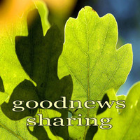 Thumbnail for the Starrysky - Goodnews Sharing (Deephouse Mix) link, provided by host site