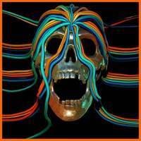 Thumbnail for the Oh Sees - Goon link, provided by host site