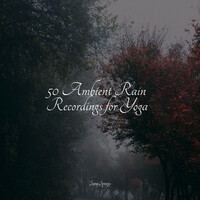 Thumbnail for the Yoga Trainer - Gorgeous Rain Sounds link, provided by host site