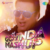 Thumbnail for the Govinda - Gori Tere Naina (Mashup) link, provided by host site