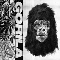 Thumbnail for the Poncho - Gorila link, provided by host site