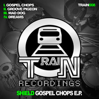 Thumbnail for the Shield - Gospel Chops link, provided by host site