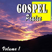 Thumbnail for the Steven King - Gospel Praise, Vol. 1 link, provided by host site