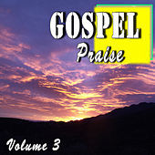 Thumbnail for the Steven King - Gospel Praise, Vol. 3 link, provided by host site