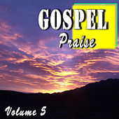 Thumbnail for the Steven King - Gospel Praise, Vol. 5 link, provided by host site